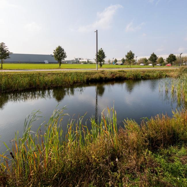 Waterpartij Trade Port Noord