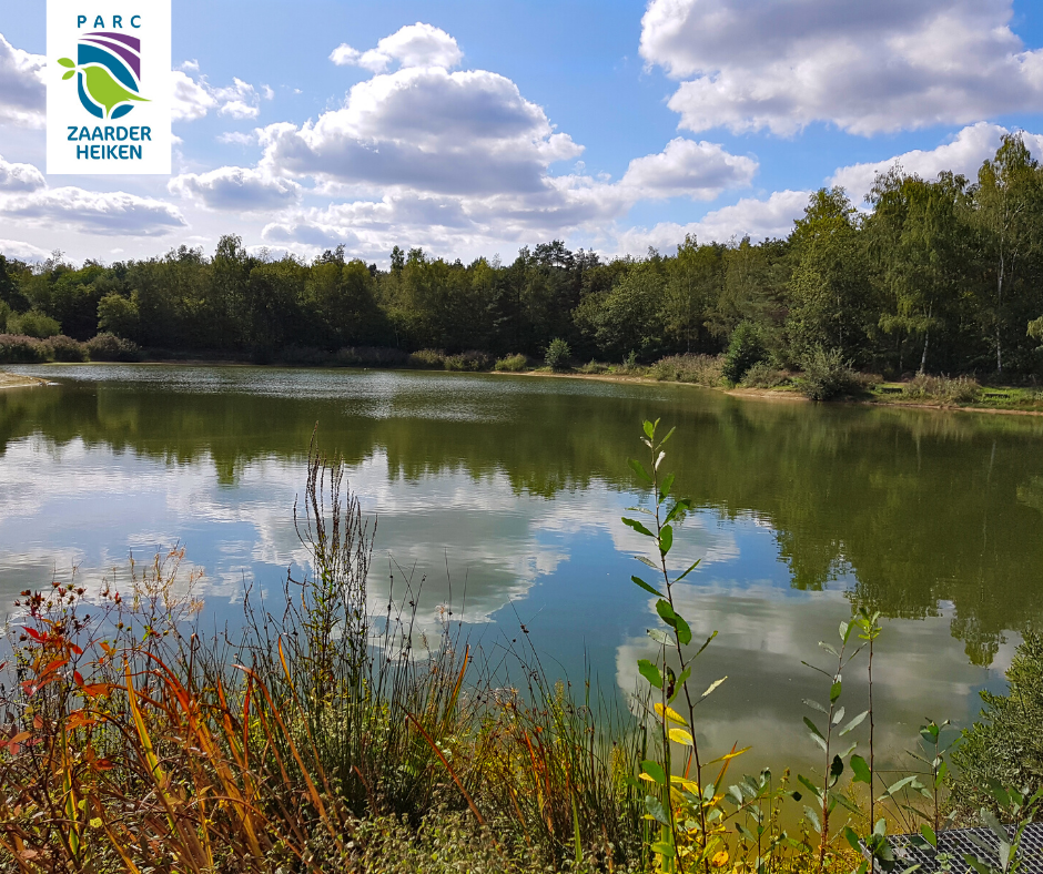 Straks heerlijk wandelen, fietsen, hardlopen of golfen in Greenport Venlo