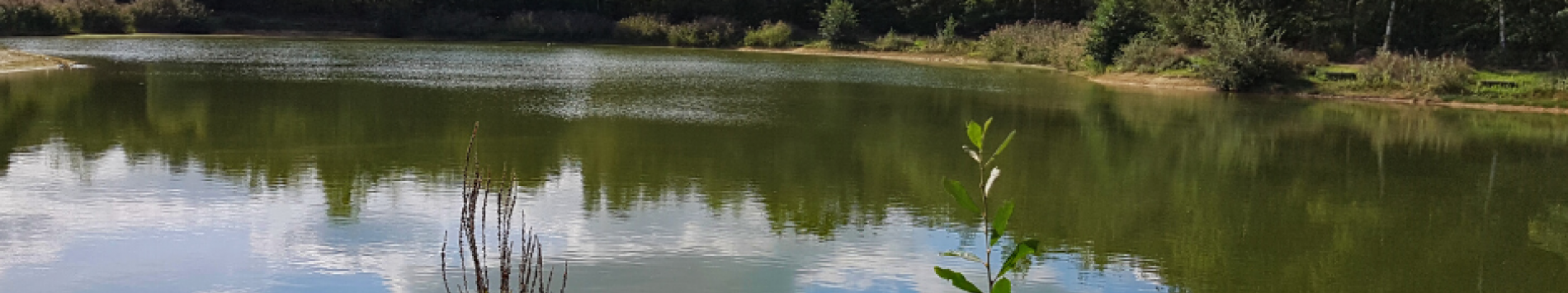Straks heerlijk wandelen, fietsen, hardlopen of golfen in Greenport Venlo
