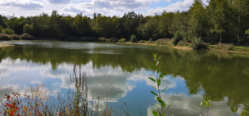 Straks heerlijk wandelen, fietsen, hardlopen of golfen in Greenport Venlo