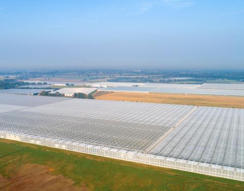 Glastuinbouwgebied Californië