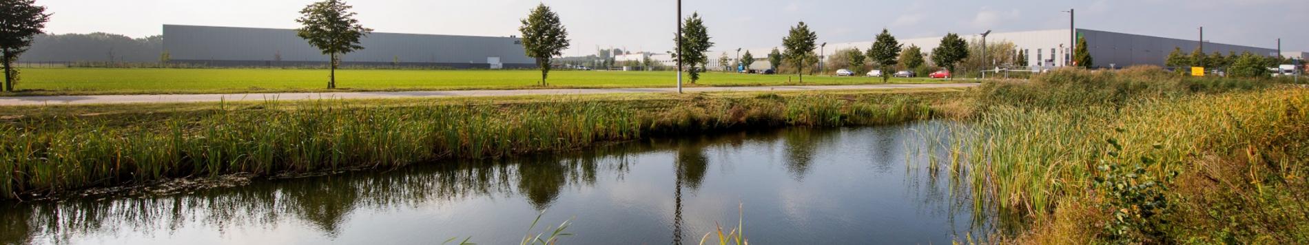 Waarom Trade Port Noord het meest duurzame bedrijventerrein wordt