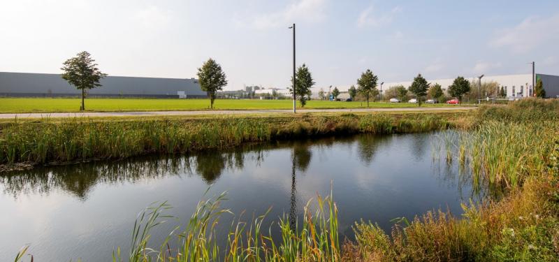 Waarom Trade Port Noord het meest duurzame bedrijventerrein wordt