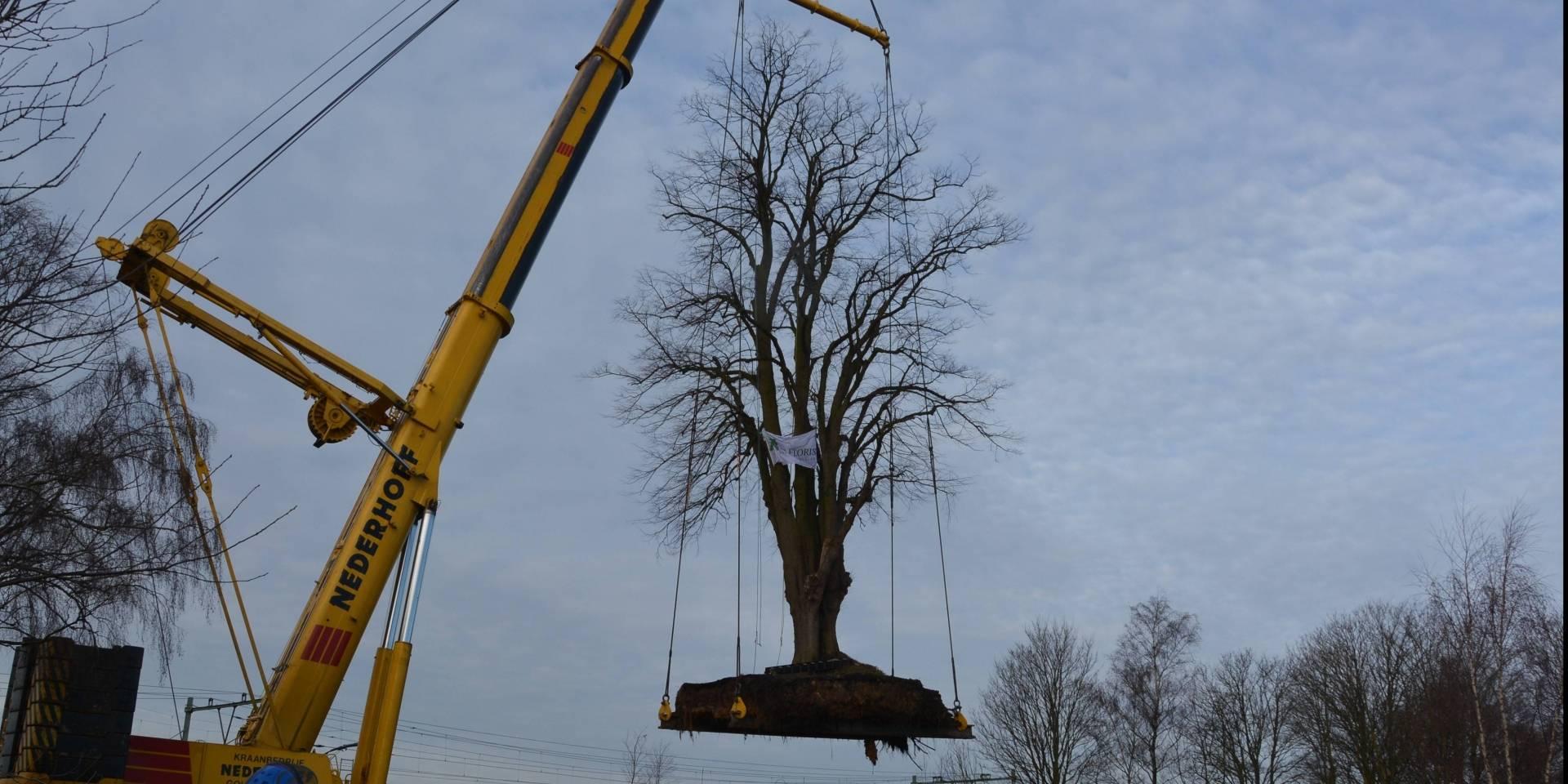 Ontwikkelbedrijf winnaar Boomproject van het jaar 2018!
