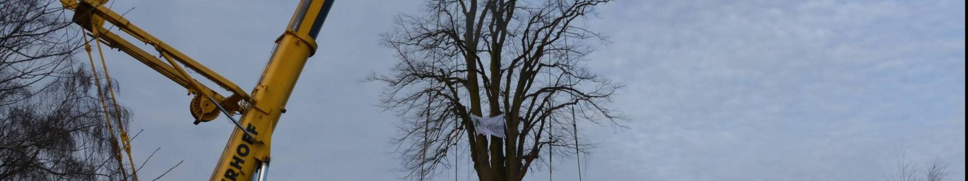 Ontwikkelbedrijf winnaar Boomproject van het jaar 2018!