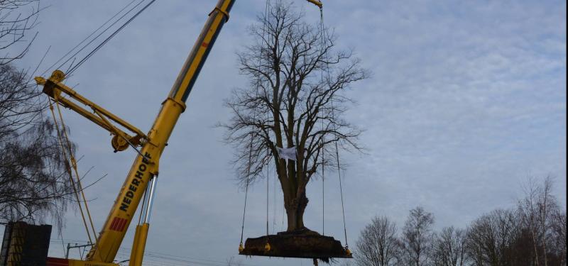 Ontwikkelbedrijf winnaar Boomproject van het jaar 2018!
