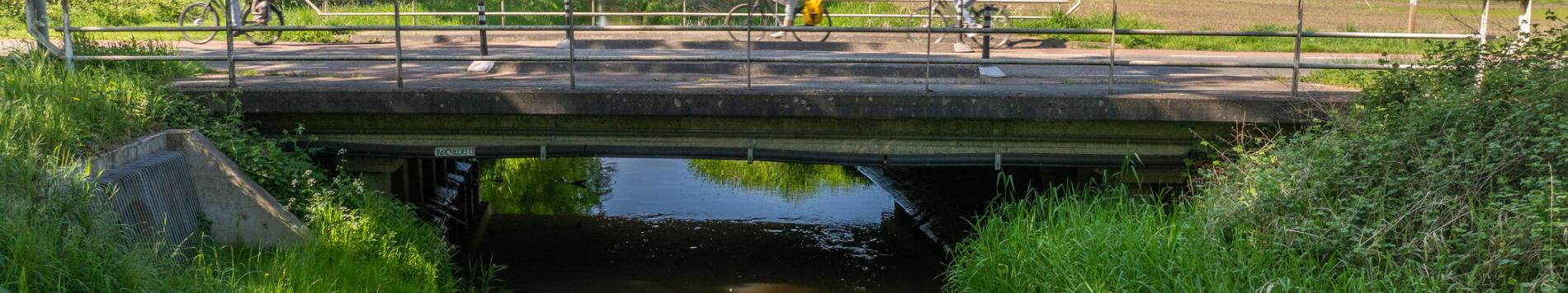 𝐈𝐦𝐩𝐮𝐥𝐬 𝐯𝐨𝐨𝐫 𝐆𝐫𝐨𝐨𝐭𝐞 𝐌𝐨𝐥𝐞𝐧𝐛𝐞𝐞𝐤 𝐖𝐢𝐭𝐭𝐞𝐛𝐫𝐮𝐠𝐰𝐞𝐠