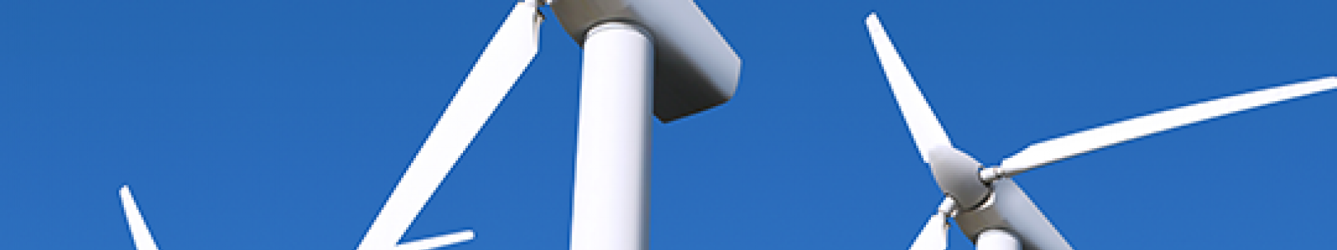 Provinciale Staten stemmen in met windmolenpark Greenport Venlo