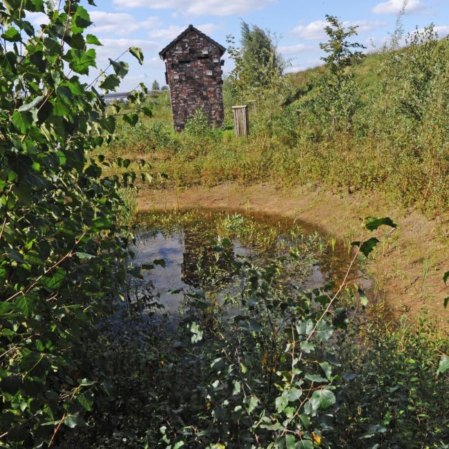 Vleermuistoren en -bunker langs Greenport Bike Way