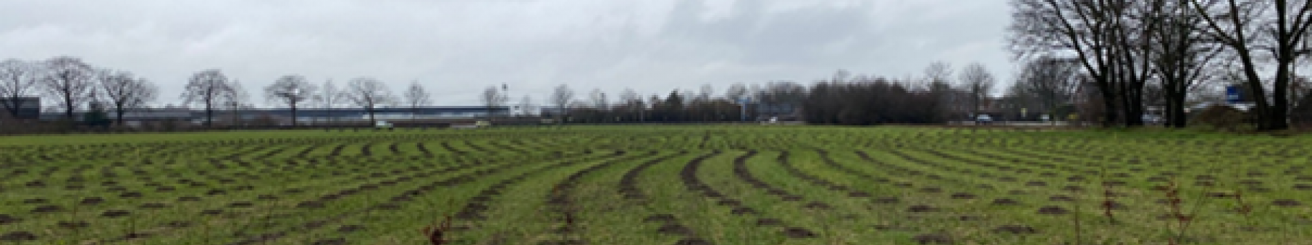 17 voetbalvelden nieuwe natuur in buurtschap Californië