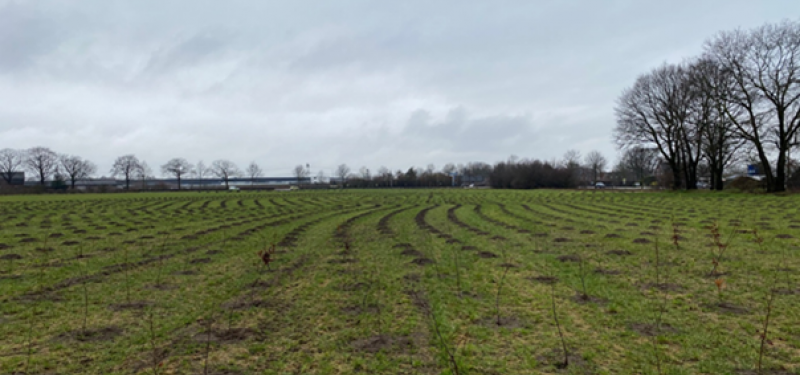 17 voetbalvelden nieuwe natuur in buurtschap Californië