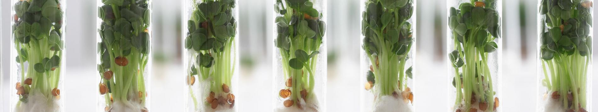 Brightlands Campus Greenport Venlo