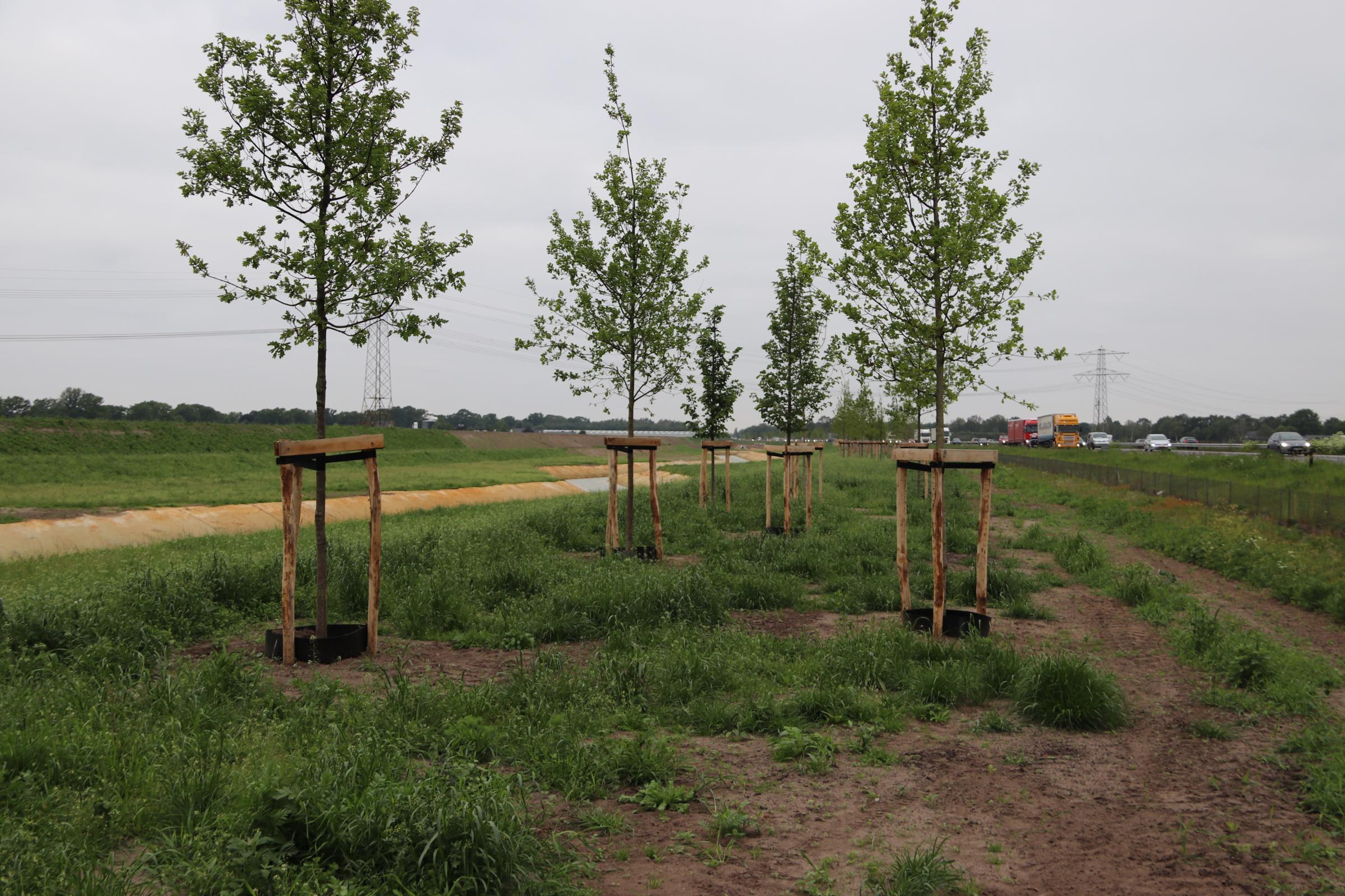 Aandacht voor water en groen