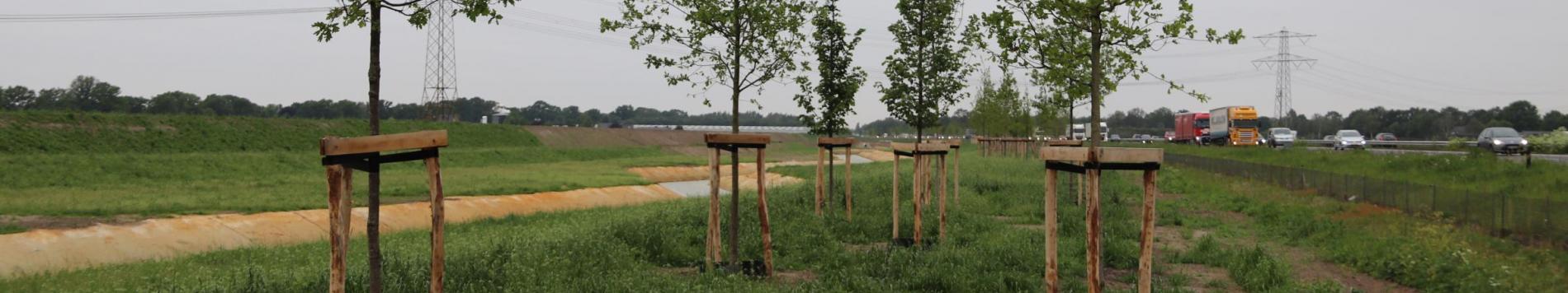 Aandacht voor water en groen