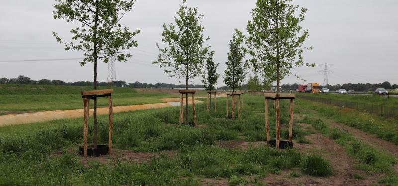 Aandacht voor water en groen